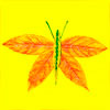 Панно из сухих листьев «Бабочка»