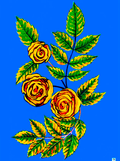 Панно из природных материалов «Розы» www.HolidaySoon.org